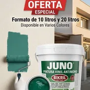 PINTURA VINIL - Img 55326564