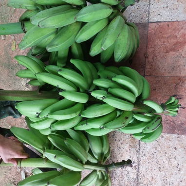 Oportunidad en Matanzas! Finca con todo tipo de frutas en venta con casa y espacio para pequeño, mediano y gran negocio! - Img 118890977