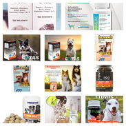 Vitaminas para perros - Img 51284065