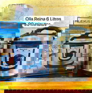 Olla Reyna milexus - Img 49808313