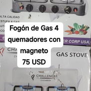 Fogon de gas 4 quemadores con magneto - Img 56171534