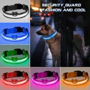 Collar LED para perros - Img 44445173