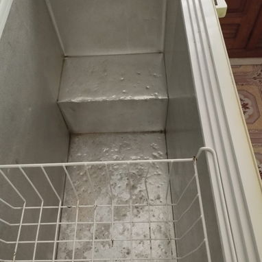 Freezer FRIGIDAIRE 11 pies - Img 125342996