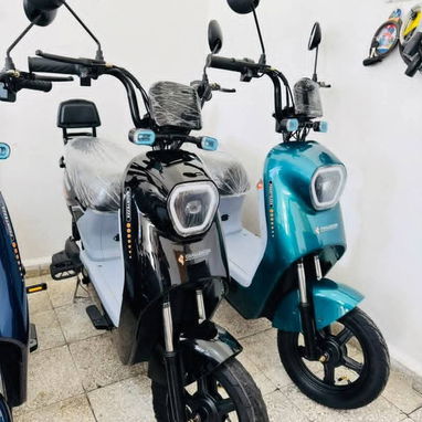 Bicimoto challenger prontezza batería de gel 48 volt x 20 amperes 860 usd - 2/2