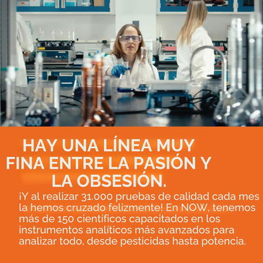 Melena de León (Marcas Rolphood y NOW Foods) - 6/6