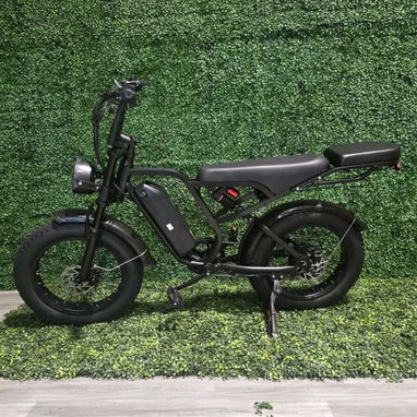 Ecoflow,  panel solar bicicleta eléctrica - Img 125838048