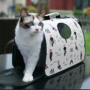 BOLSOS SEMIRRIGIDOS PARA PERROS Y GATOS - Img 51808550