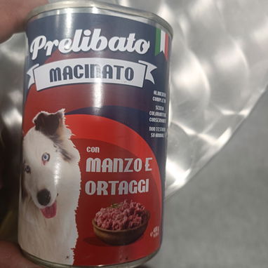 Buscamos vendedores para productos de mascotas – Únete a Diamant Pluto Starcat 🐾 - Img 120181064
