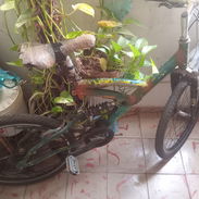 Bicicleta - Img 55880242
