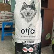 Comida para perro adulto - Img 57809728