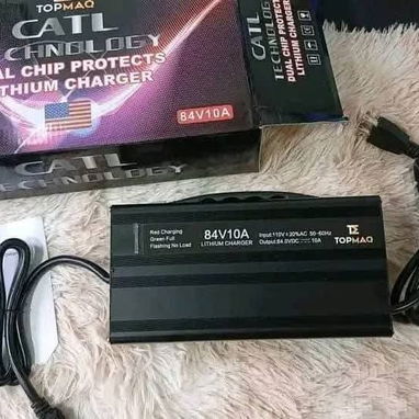 Cargador para moto electrica y triciclo - 2/10