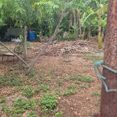 Terreno en Santa Maria - 2/2