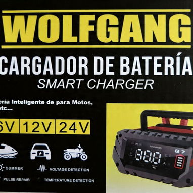 Vendo cargador de Batería Inteligente  de 30A - 2/2