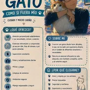 Servicio de cuidado de gatos para personas que viajan dentro y fuera del país - Img 58095712