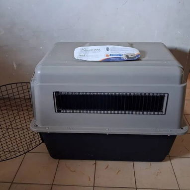 Se vende guacal para perro grande - Img 122647639