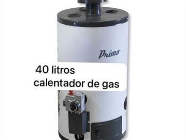 Calentadores de gas de 40 y 60 litros - Img main-image-45563221