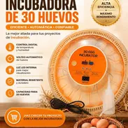 Incubadora de 30 huevos - Img 55789438