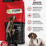 PIENSO PARA PERROS Y GATOS DE LA MEJOR CALIDAD - Img 55520634
