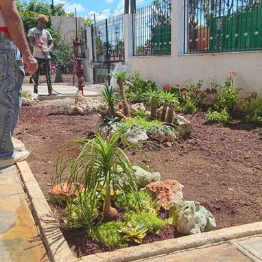 Servicio de jardinería - Img 119439273