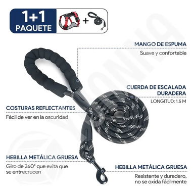 Pecheras de Perro con correa incluida - Img 122233845
