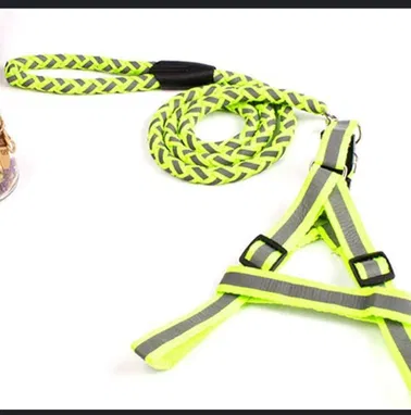 COLLARES +CORREAS + PECHERAS PARA GATOS Y PERROS - Img 70951893