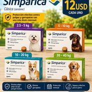 Simparica clásica - Img 57061594