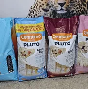 Pienso importado para perros. - Img 50495474