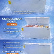 Neveras de 17 pies doble puerta marca Royal, nuevas con garantía en 551 USD - Img 54005134