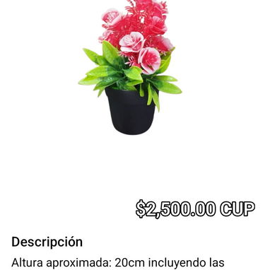 Regalos para mamá - Img 120337561