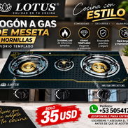 FOGÓN A GAS DE MESETA LOTUS – 3 HORNILLAS - Img 57632135