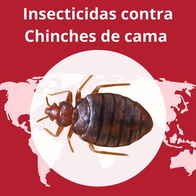 Fumigación para chinches - Img 125776267