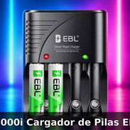 Cargador de Pilas EBL - Img 57484042