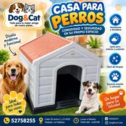 Casa para Perros 🐕 - Img 57631550