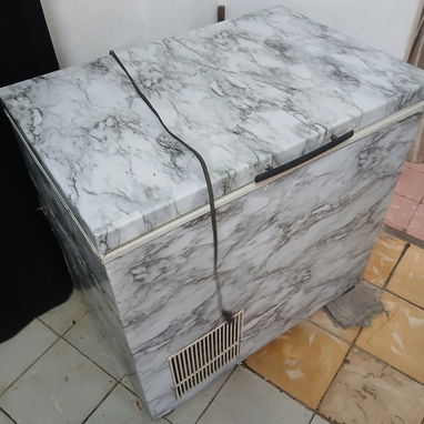 Freezer criollo compresor nuevo - Img 124839550
