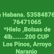 La Habana. 53584876 o 76471065 *Hielo ,Bolsas de 4lb.......200 CUP Los Pinos, Arroyo Naranjo - Img 57604984