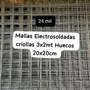 Malla criollas - Img 57519574