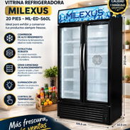 Exhibidor MILEXUS 20 pies - Img 58153965