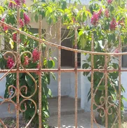 Vendo casa independiente en bejucal - Img 50548487