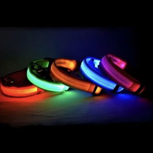 COLLAR CORREA PARA PERRO CON LUZ LED SEGURIDAD PARA PASEO NOCTURNO. - Img 94723574