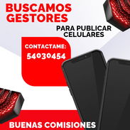 Buscamos Gestores - Img 55736205