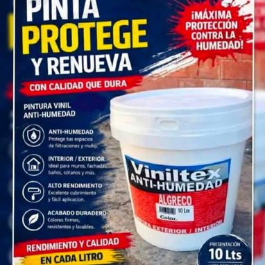 Pintura para embellecer su hogar - 5/6