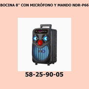 BOCINA 8'' CON MICRÓFONO Y MANDO NDR-P66 - Img 55728051