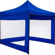 Carpa - Img 55418294