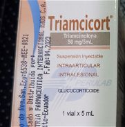 Triancinolona intraarticular ,50mg/5ml. Medicamento importado - Img 45248087