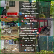 Alquiler piscina y patio - Img 54761652