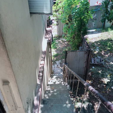Se vende planta alta - Img 118483667