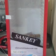 🔹 Exhibidor Vertical Sankey 10 pies ⚙️ Sistema No Frost (sin formación de escarcha) ⚙️ 3 parrillas internas ajustables - Img 55301516