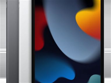 iPad (9.ª generación) - Modelo A2602 - 2021 - Wifi - 64GB - Img main-image