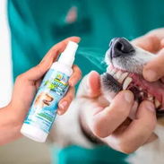 SPRAY DENTAL FANCY PETS - Img 53953835