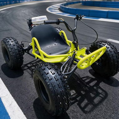 Adult Outdoor Racing Go Kart 212cc 4 Stroke Gas Engine Off-Road Chain Drive Sandy Grass Drift Buggy - 2/7
